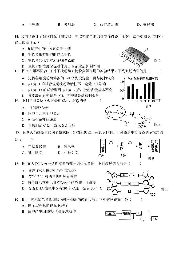 2020届上海市青浦区高三下学期第二次学业质量调研（二模）生物试题（PDF版）03