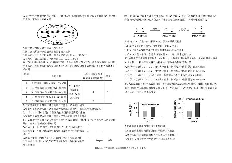 2022届福建省龙岩市长汀第一中学等三校联盟高三上学期期中考试生物试题 PDF版02