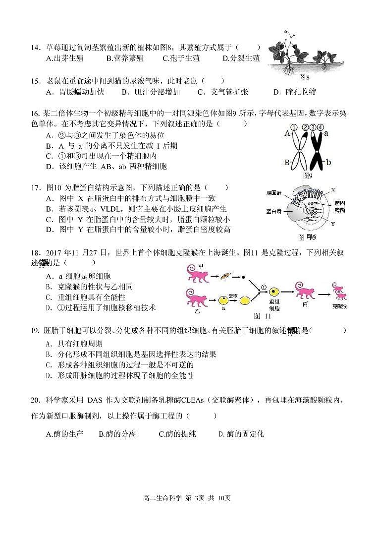 2021届上海市青浦区高三下学期4月第二次学业质量调研测（二模）生物试题 PDF版03