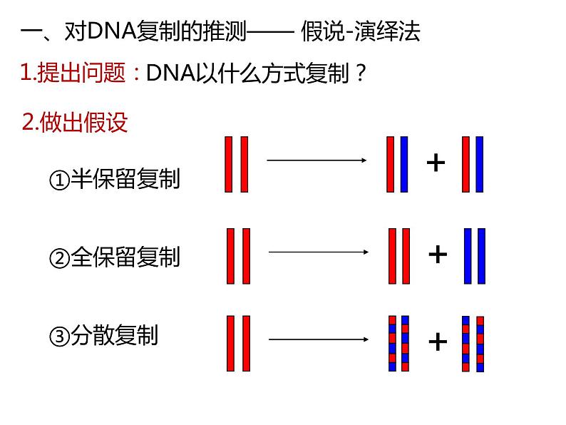人教版（2019）高二生物必修2-3.3DNA复制课件PPT第4页