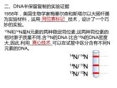 人教版（2019）高二生物必修2-3.3DNA复制课件PPT