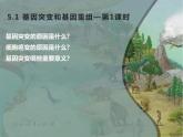 人教版（2019）高二生物必修2-5.1基因突变与基因重组-1课件PPT