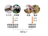 人教版（2019）高二生物选择性必修2-1.1种群数量特征-2课件PPT