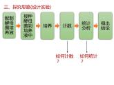 人教版（2019）高二生物选择性必修2-1.2种群数量变化-2课件PPT