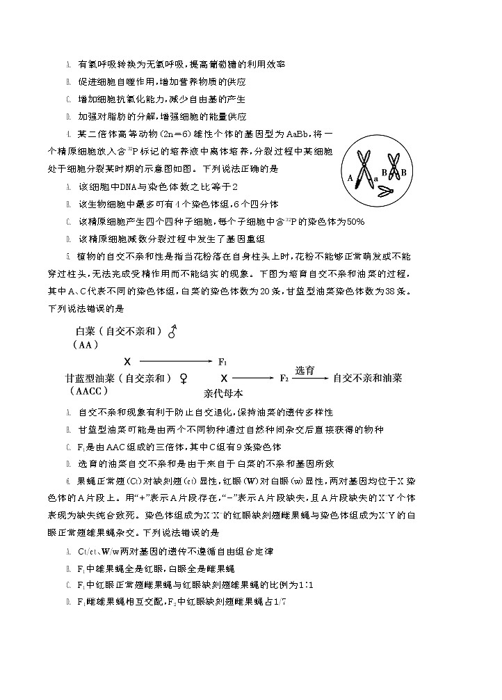2022届山东省泰安市高三一轮检测（一模）生物试题含答案02
