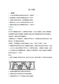 2022河北省九师联盟高三下学期3月质量检测联考（一模）生物试题含解析