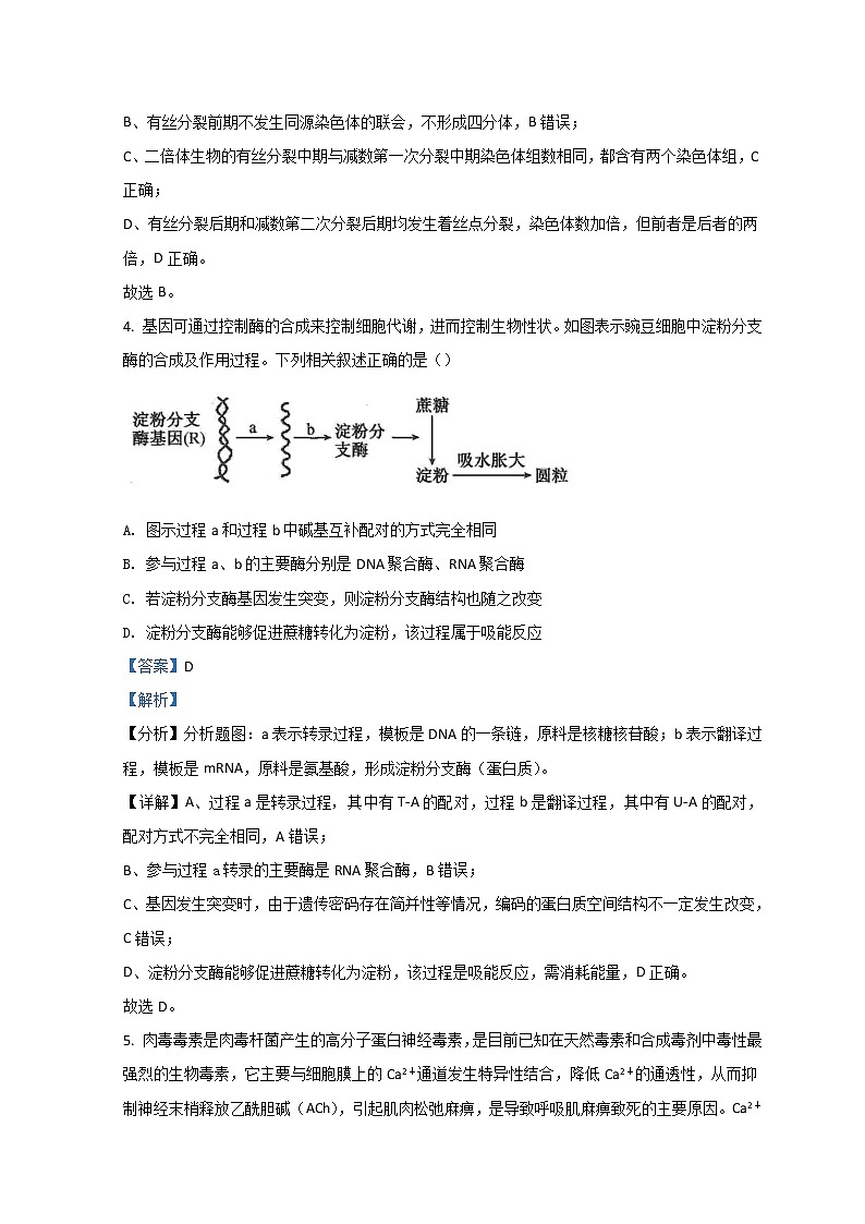 2022齐齐哈尔高三下学期第一次模拟考试理综生物含解析03