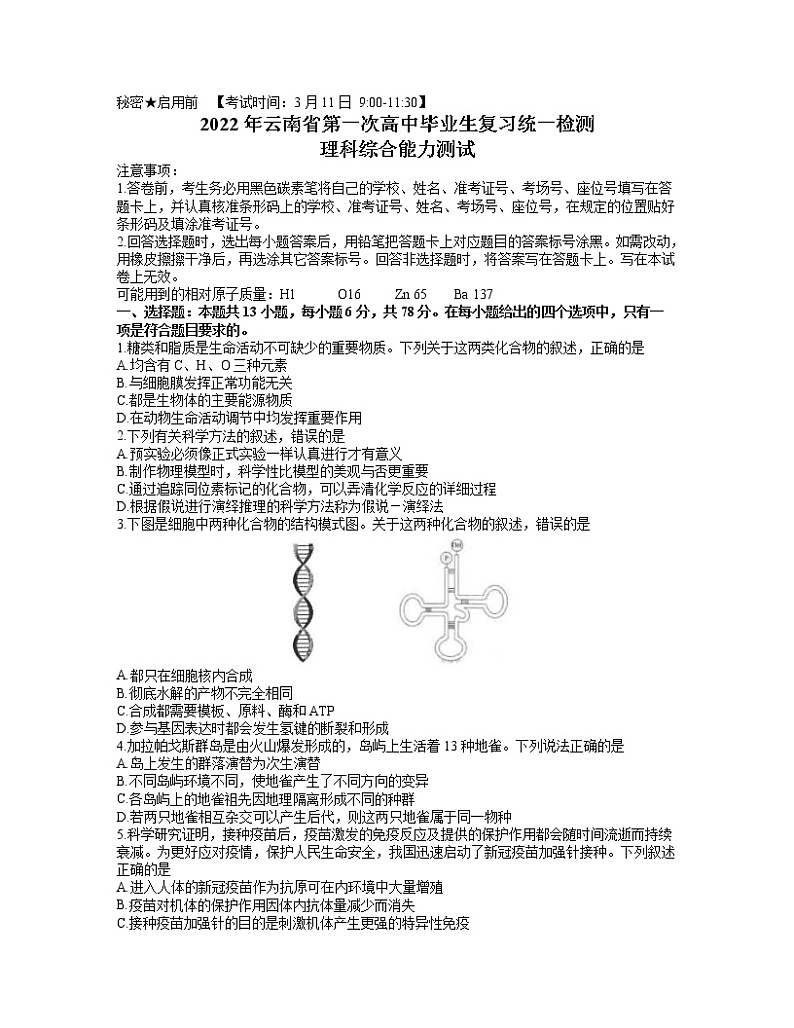2022云南省高三下学期3月第一次高中毕业生复习统一检测（一模）生物试题含答案01