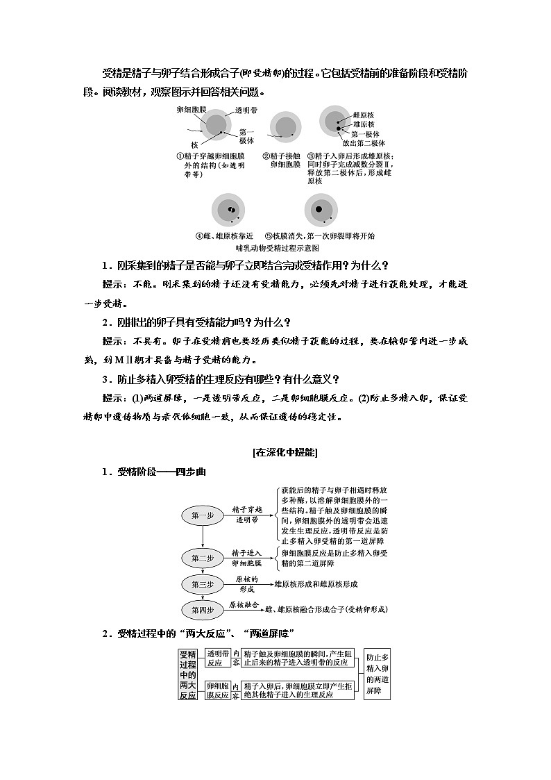 新人教版 高中生物选择性必修三第2章  细胞工程：第3节第1课时 胚胎工程的理论基础 学案含答案03