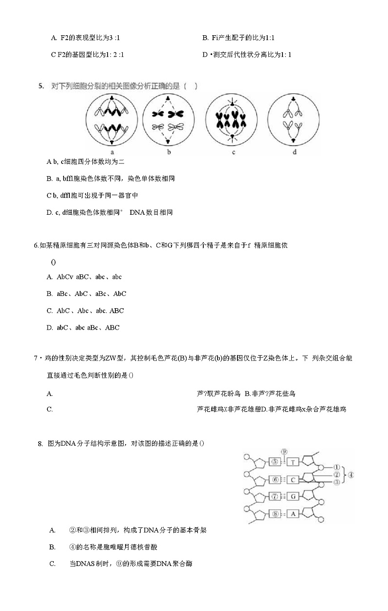 2019~2020学年10月北京海淀区北京市中关村中学高三上学期月考生物试卷及答案PDF03