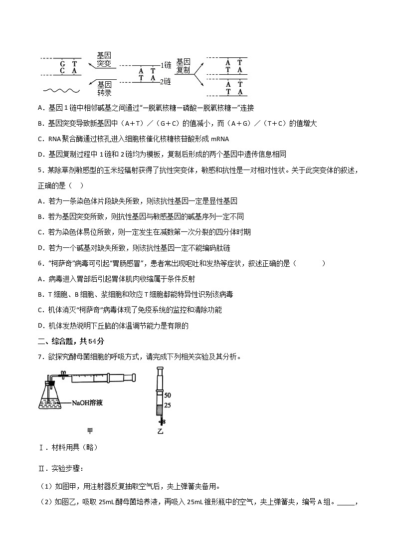 新疆喀什地区岳普湖县2022届高三下学期3月一模考试生物试题含答案02