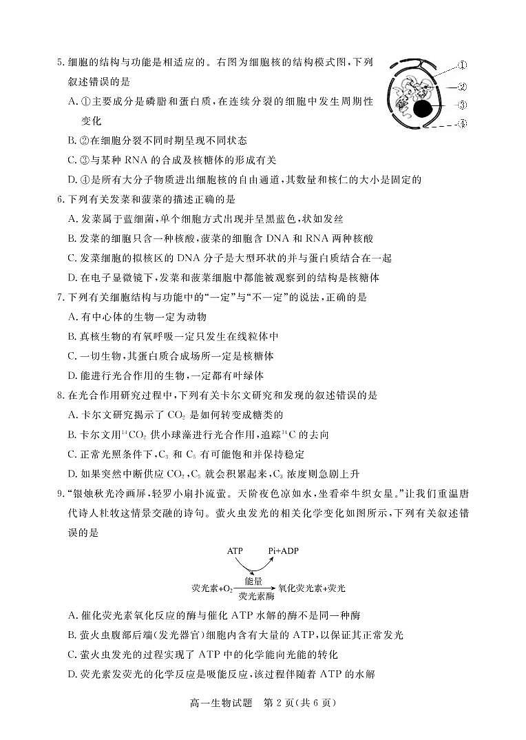 2020-2021学年广东省肇庆市高一上学期期末考试生物试卷 PDF版02