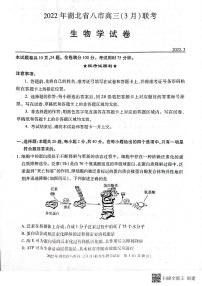 2022湖北省八市高三下学期3月联考试题生物PDF版含答案