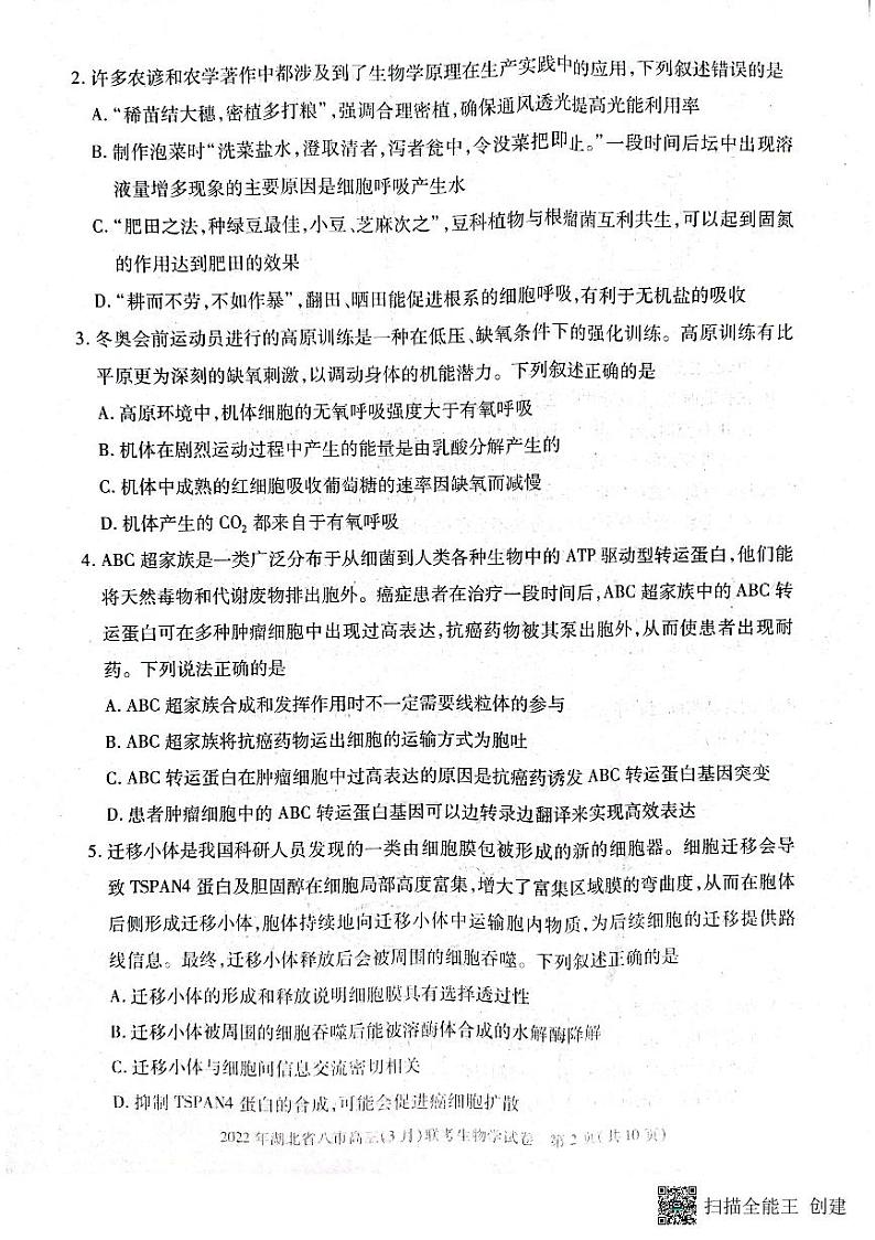 湖北省八市2021-2022学年高三3月联考生物试题第2页