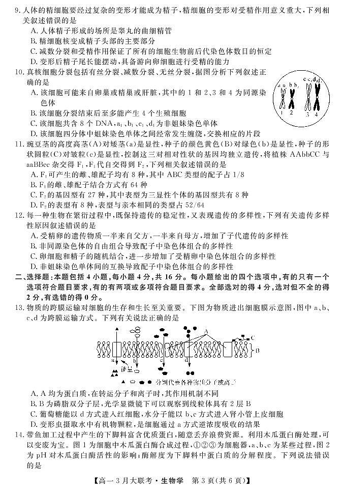 湖南省名校2021-2022学年高一下学期3月大联考生物试卷（PDF版）03