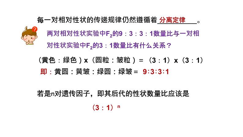 1.2孟德尔的豌豆杂交实验（二）上课课件PPT第6页