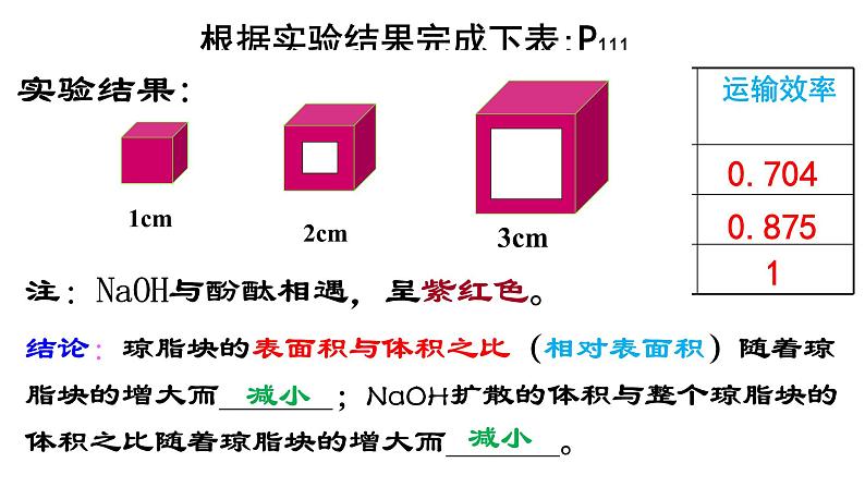 6.1 细胞的增殖课件PPT第4页