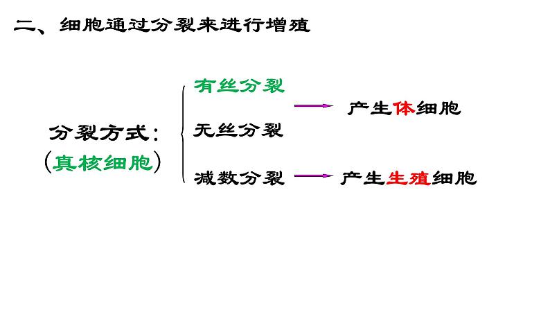 6.1 细胞的增殖课件PPT第6页