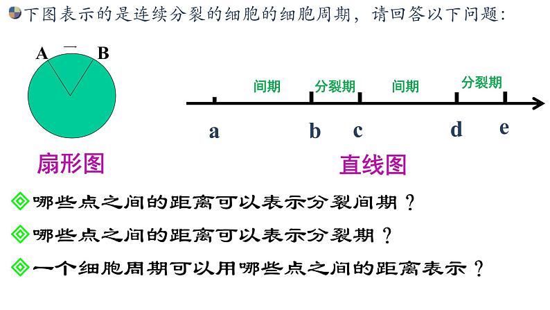 6.1 细胞的增殖课件PPT第8页