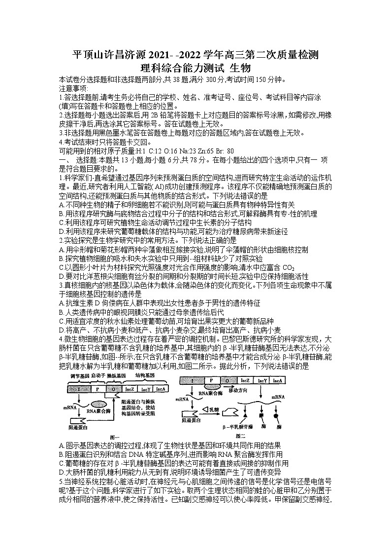 河南省平顶山市许昌市济源市2021-2022高三下学期第二次质量检测（二模）生物试题含答案01