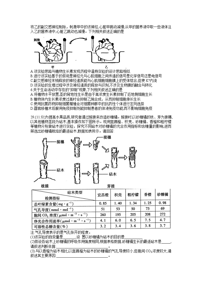 河南省平顶山市许昌市济源市2021-2022高三下学期第二次质量检测（二模）生物试题含答案02