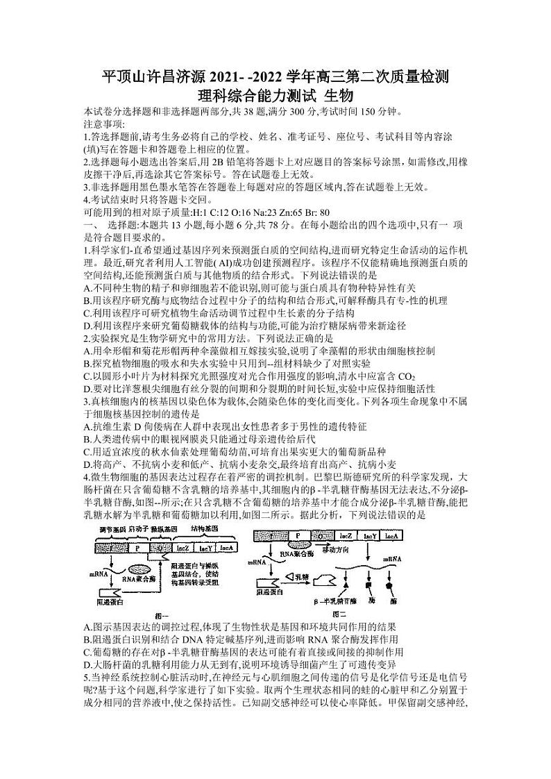 河南省济源市2021-2022高三下学期第二次质量检测（二模）生物试题含答案01