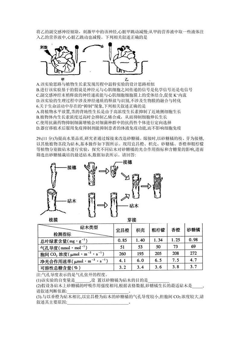 河南省济源市2021-2022高三下学期第二次质量检测（二模）生物试题含答案02