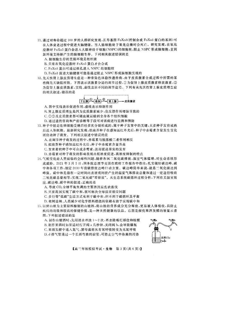 辽宁省沈阳市2021届高三年级教学质量监测（三）生物试题（含答案）第3页