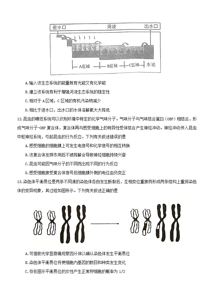 2022届福建省泉州市高中毕业班质量检测（三）生物试题（含答案）第3页