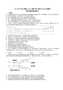 高中生物人教版 (2019)必修2《遗传与进化》第3节 DNA的复制复习练习题