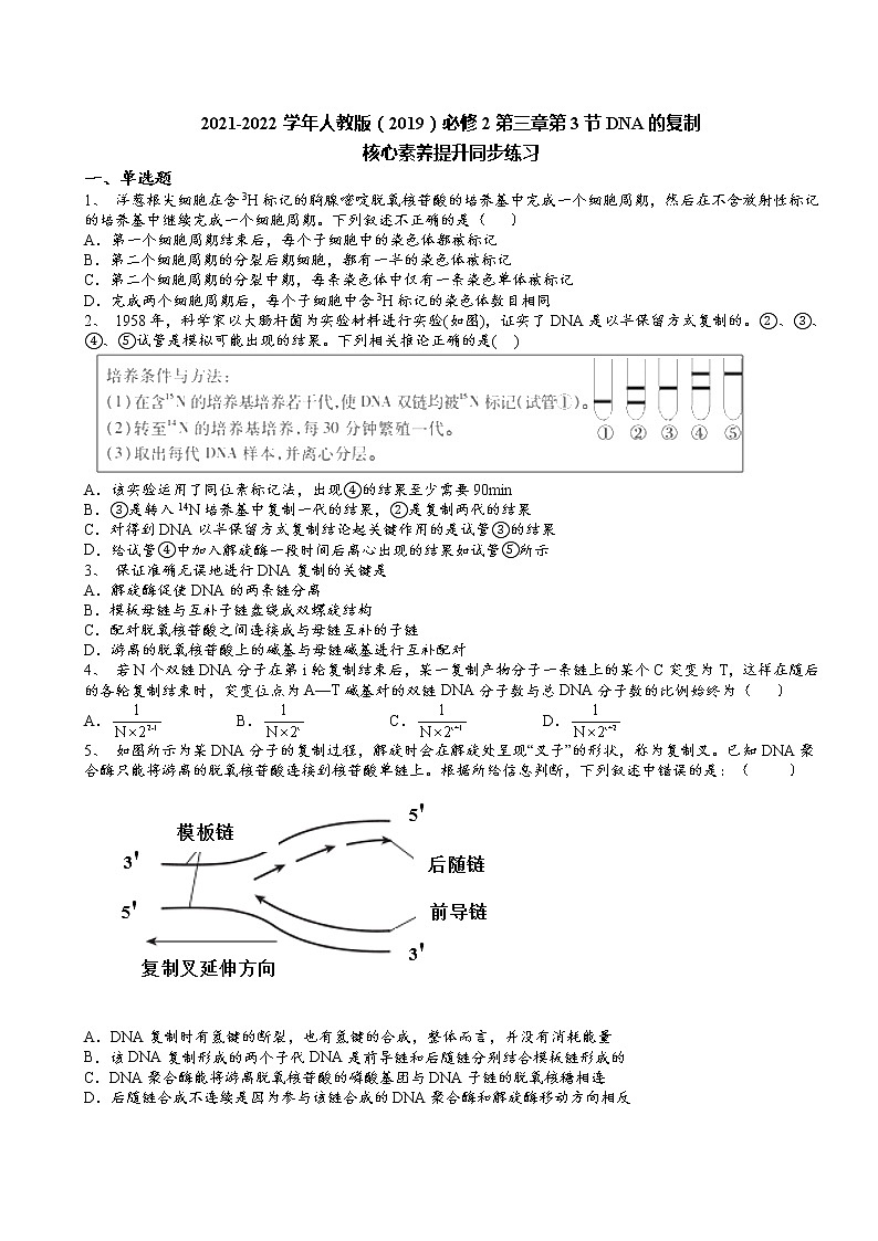 2021-2022学年人教版（2019）必修2第三章第3节DNA的复制核心素养提升同步练习第1页