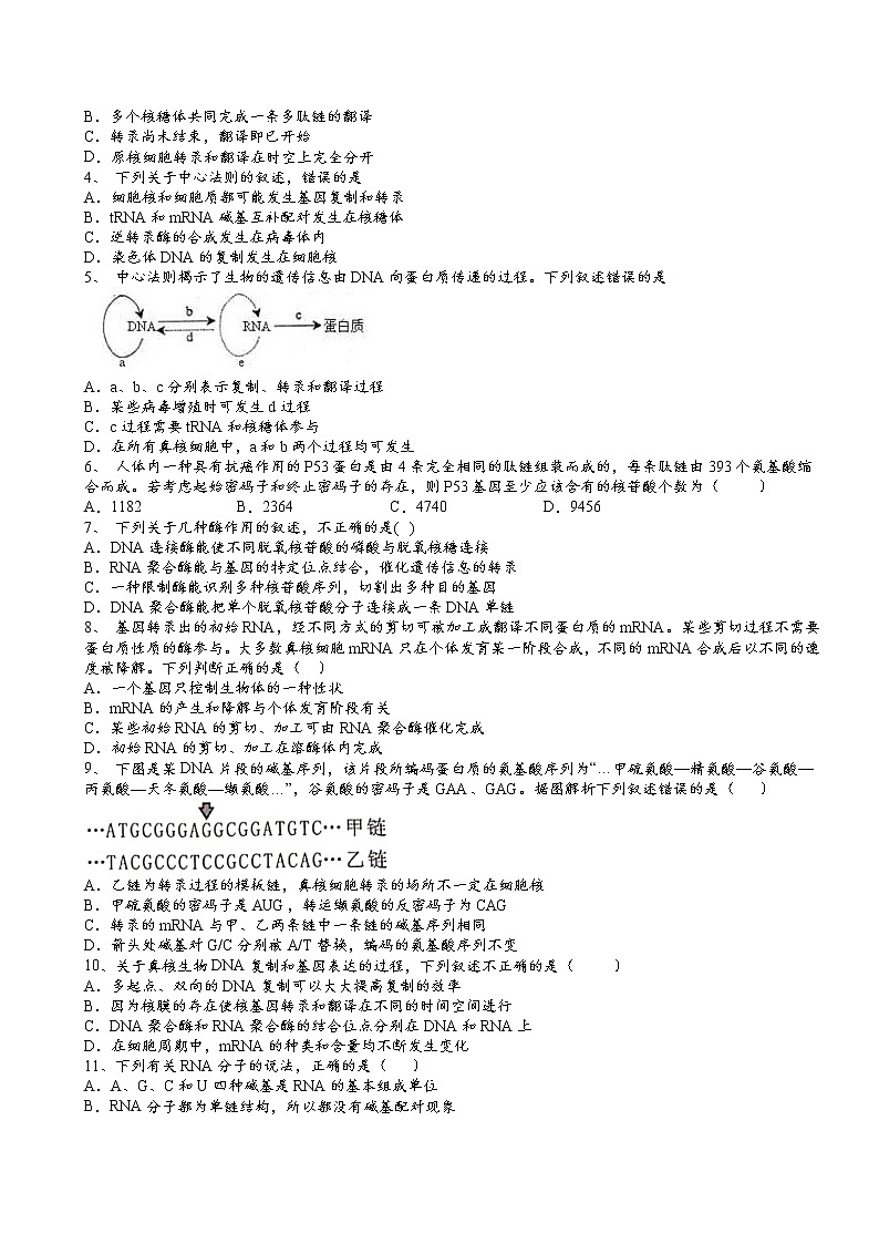 2021-2022学年人教版（2019）必修2第四章第1节基因指导蛋白质的合成核心素养提升同步练习第2页