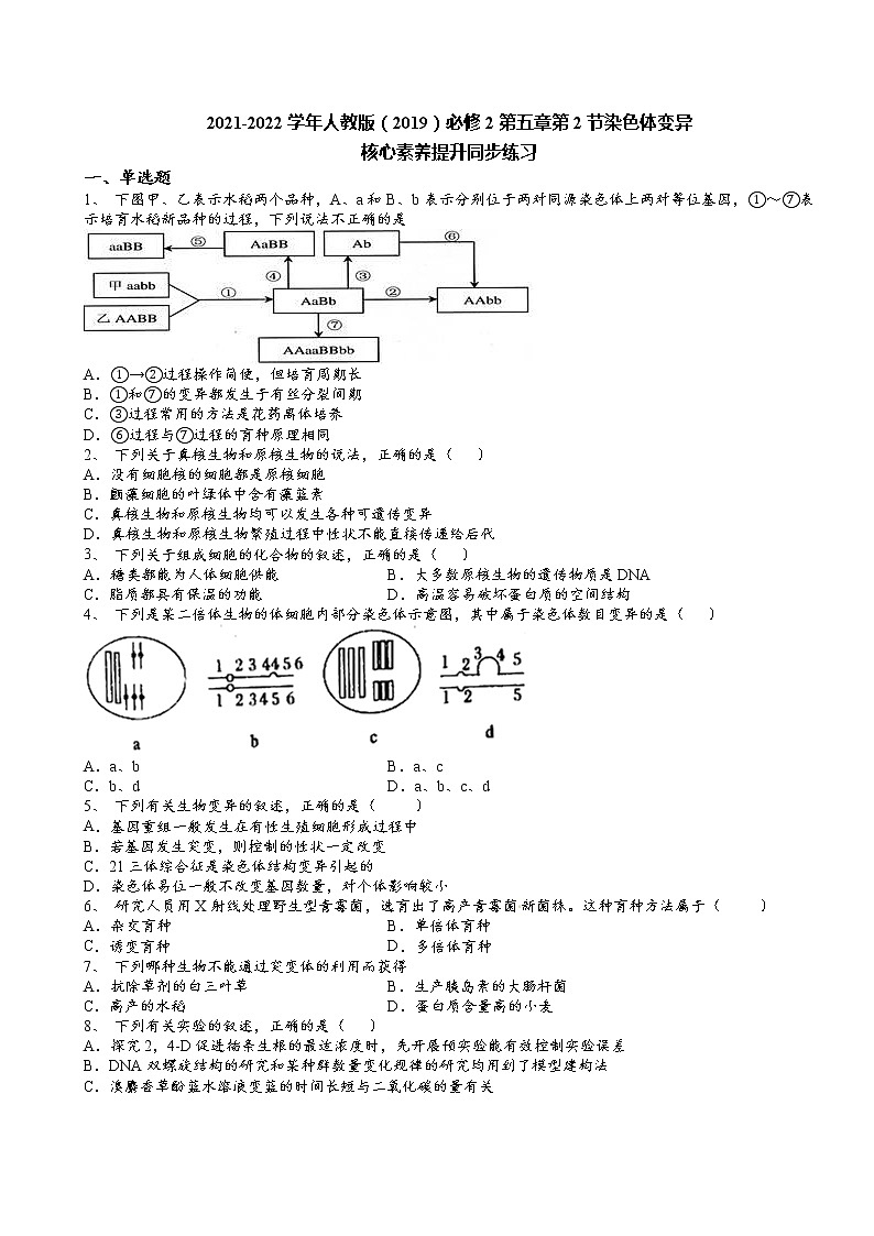 2021-2022学年人教版（2019）必修2第五章第2节染色体变异核心素养提升同步练习第1页