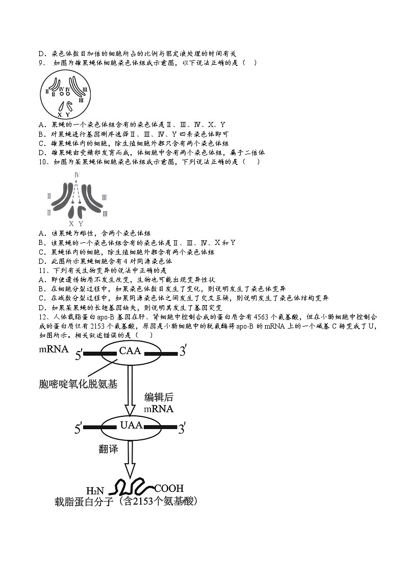 2021-2022学年人教版（2019）必修2第五章第2节染色体变异核心素养提升同步练习第2页