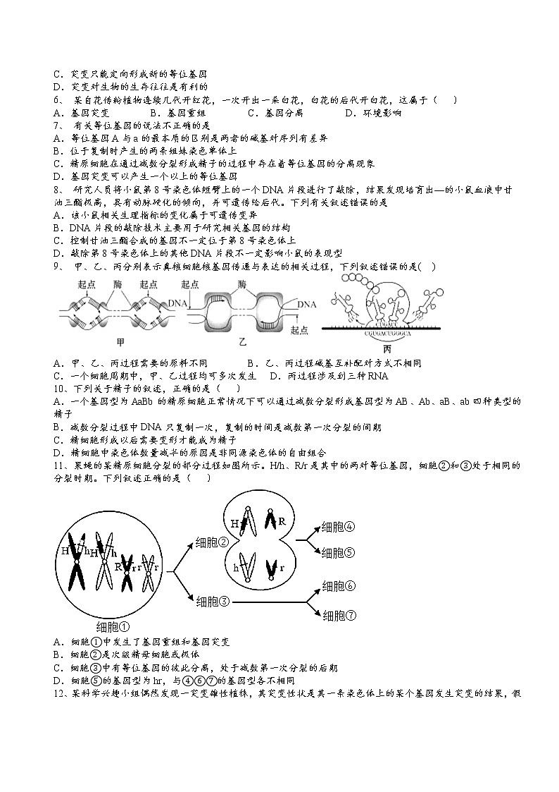 2021-2022学年人教版（2019）必修2第五章第1节基因突变和基因重组核心素养提升同步练习第2页