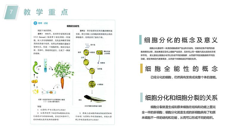 6.2细胞的分化说课课件2021-2022学年高一上学期生物人教版必修107