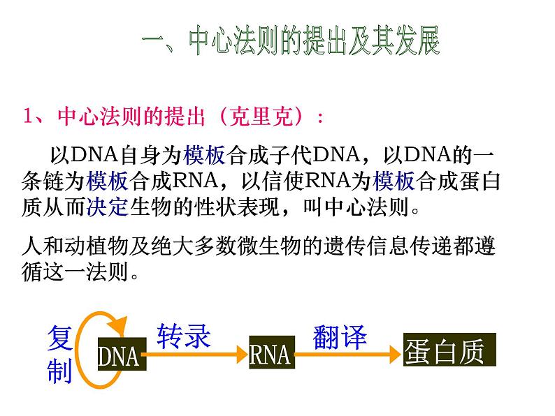 4.2基因表达与性状的关系课件2021-2022学年高一下学期生物人教版必修2第4页