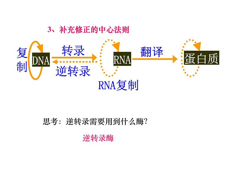 4.2基因表达与性状的关系课件2021-2022学年高一下学期生物人教版必修2第7页