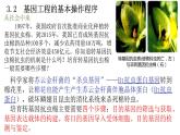3.2基因工程的基本操作程序课件-2021-2022学年高二下学期生物人教版（2019）选择性必修3