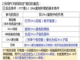 3.2基因工程的基本操作程序课件-2021-2022学年高二下学期生物人教版（2019）选择性必修3