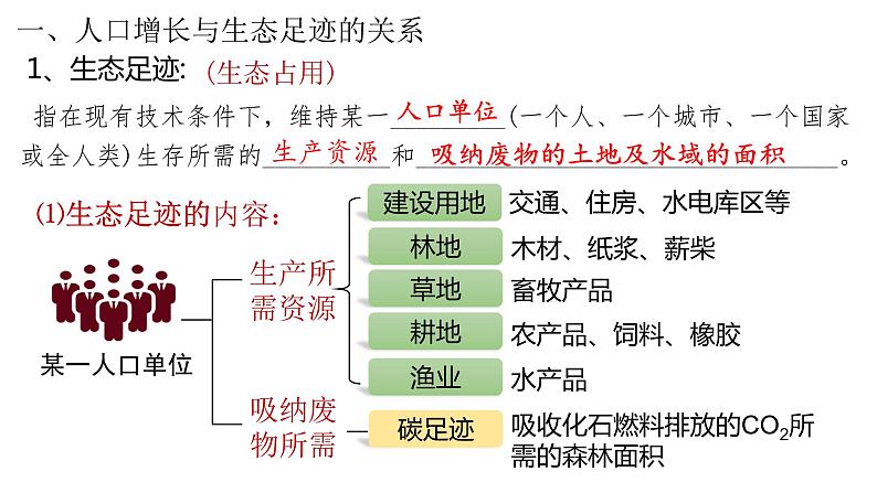 4.1人类活动对生态环境的影响课件-2021-2022学年高二上学期生物人教版（2019）选择性必修2第6页