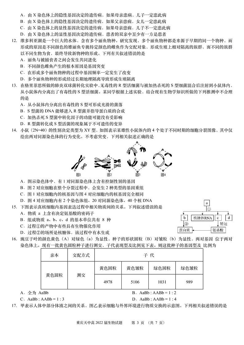 重庆市天星桥中学2022届高三学业质量调研抽测（一）生物试题及答案03