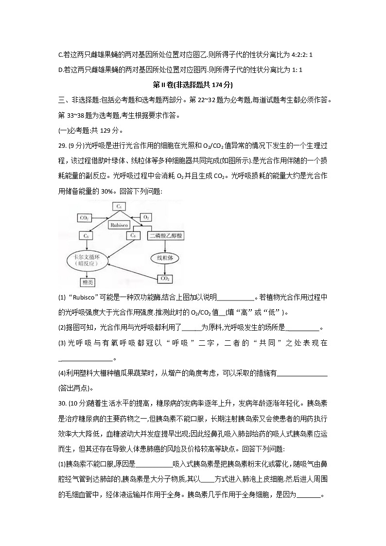 2022届吉林省白山市一模理综生物试卷  含答案03