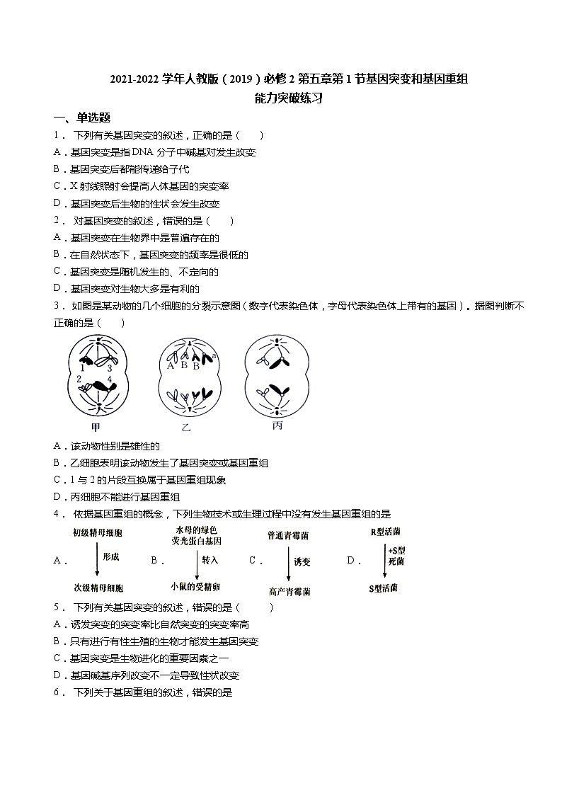 2021-2022学年人教版（2019）必修2第五章第1节基因突变和基因重组  练习题第1页