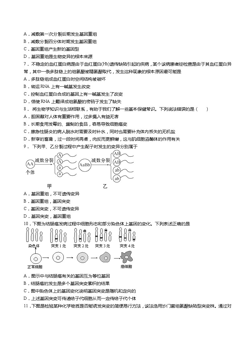 2021-2022学年人教版（2019）必修2第五章第1节基因突变和基因重组  练习题第2页