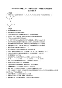 2020-2021学年第1节 生物有共同祖先的证据达标测试