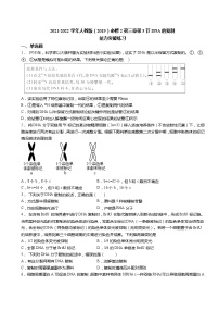 人教版 (2019)必修2《遗传与进化》第3节 DNA的复制当堂达标检测题