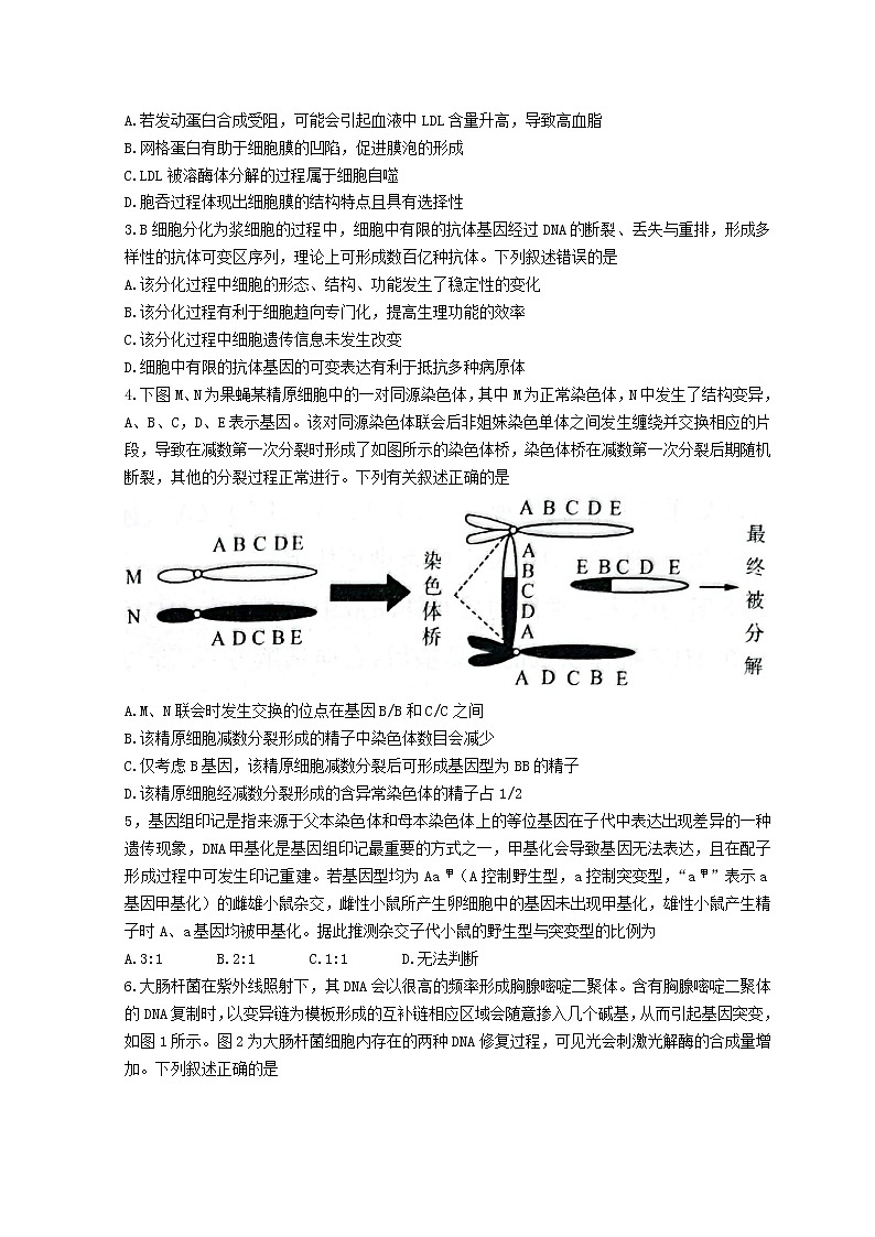 2022济南高三下学期3月一模考试生物试题含答案02
