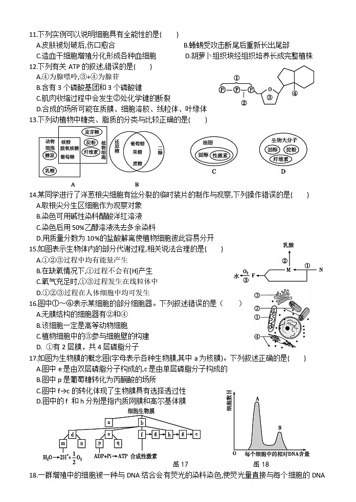 2022台州书生中学高一下学期3月月考生物试题无答案02