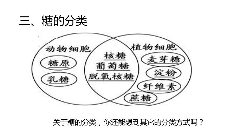 细胞中的糖类和脂质课件PPT05